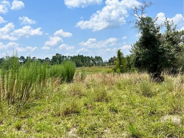 Steward Rd, Eustis, FL 32726