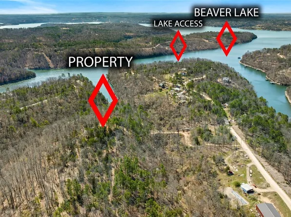 10842 Lakeside Dr, Rogers, AR 72756