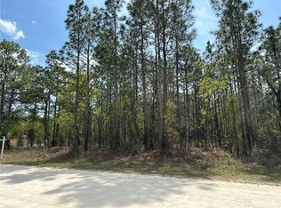 Tinamou Avenue Lot #2, Brooksville, FL 34614