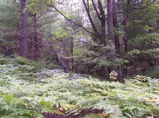 828 Beaver Trl LOT 123, Wolverine, MI 49799