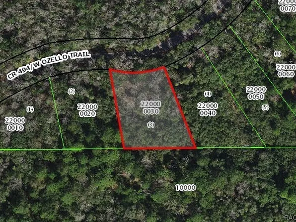 10322 W Ozello Trl, Crystal River, FL 34429