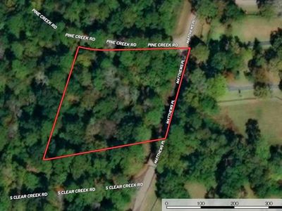 39 Pine Creek Rd, Hockley, TX, 77447