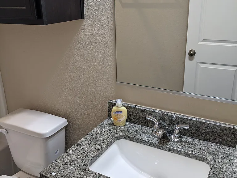 1315 Kiskadee Branch Dr — Photo 14