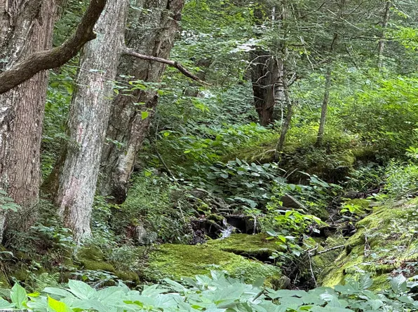 Rocky Rd, Harman, WV 26270