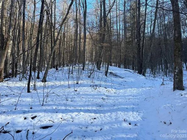 Board Tree Rd, Marshall, NC 28753