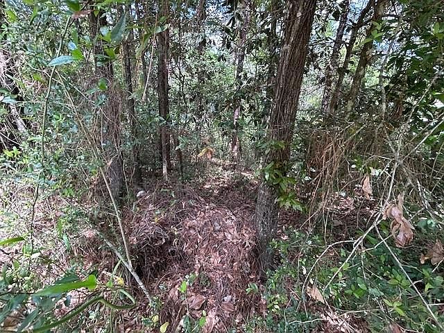 2nd image of 145 Donette Loop