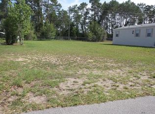 9391 Scepter Ave, Brooksville, FL 34613