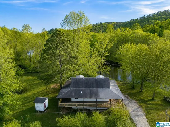 2729 County Road 203, Delta, AL 36258