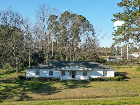 6156 Badham Dr, Reevesville, SC 29471