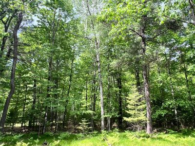 LOT 33 White Pine Loop, Eagle River, WI, 54521