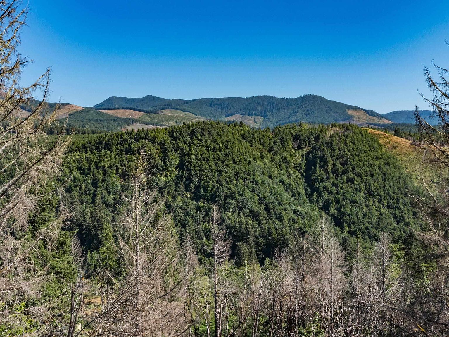 349 Maple Dr, Otis, OR 97368 Zillow