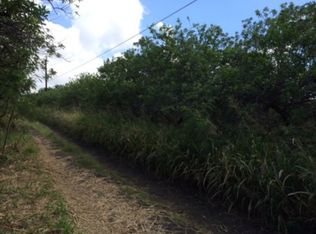 LOT 47 Lot 47, Naalehu, HI 96772