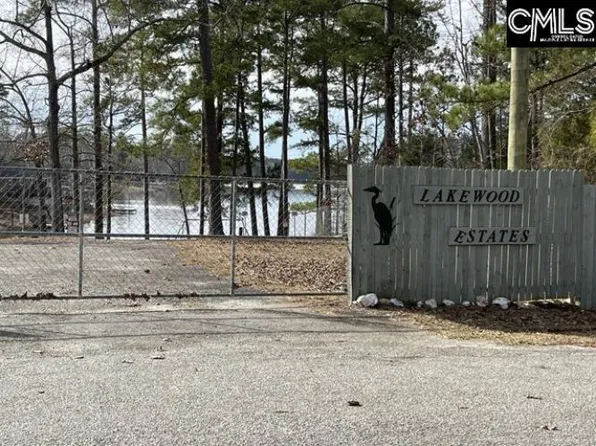 228 Lynch Ln, Chapin, SC 29036