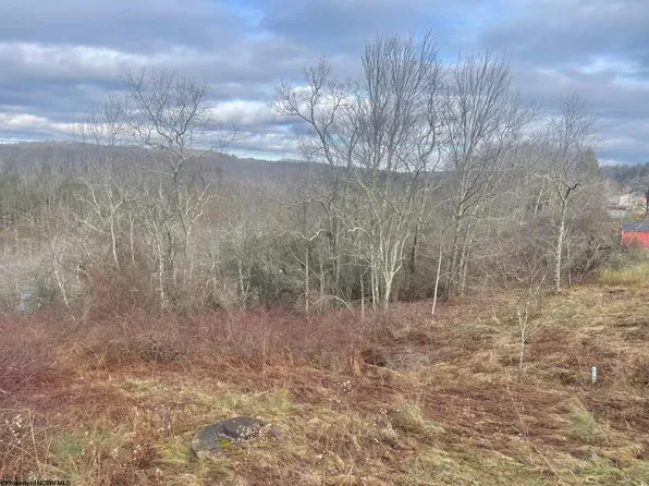 Bunker Hill Rd, Thomas, WV 26292