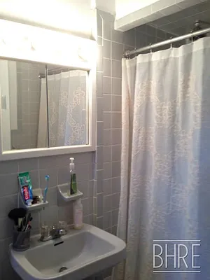 Rented by Brooklyn Heights Real Estate Inc | media 10