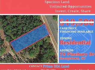 78 Pinebury Dr, Georgetown, SC 29440