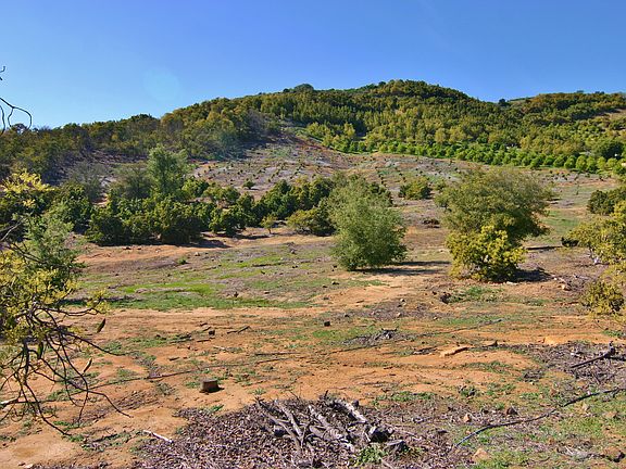 2nd image of Calle Jardin
