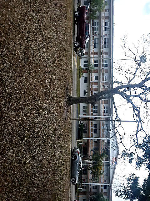 Town Apartments Condos-Park Building