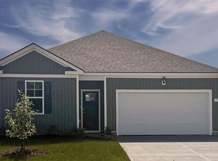 156 Hadley Springs Ave, Longs, SC 29568