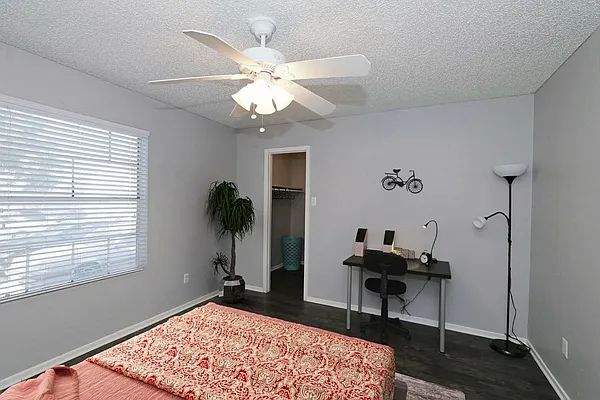 The Social Apartments — Photo 7