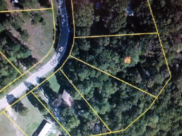 1479 Beaver Dr, Manning, SC 29102