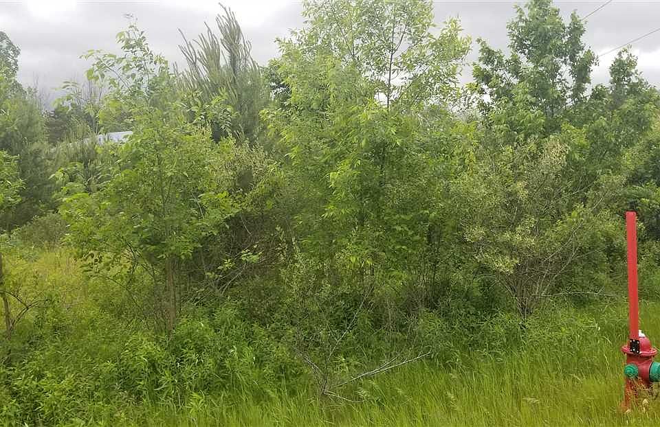 1st image of 600 E Isabella Rd