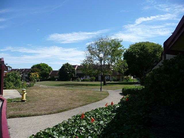 1st image of 130 Harbor Oaks Cir
