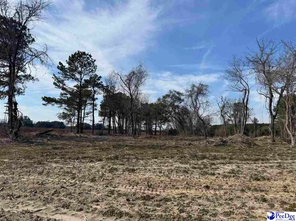 Highway 52 Byp, Darlington, SC 29532