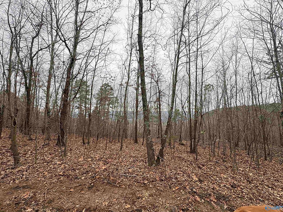 1st image of Bella Vista Dr