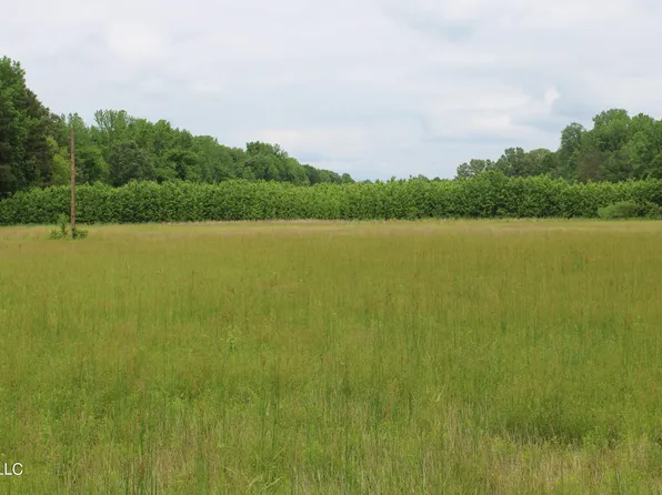2900 Springfield Rd, Senatobia, MS 38668