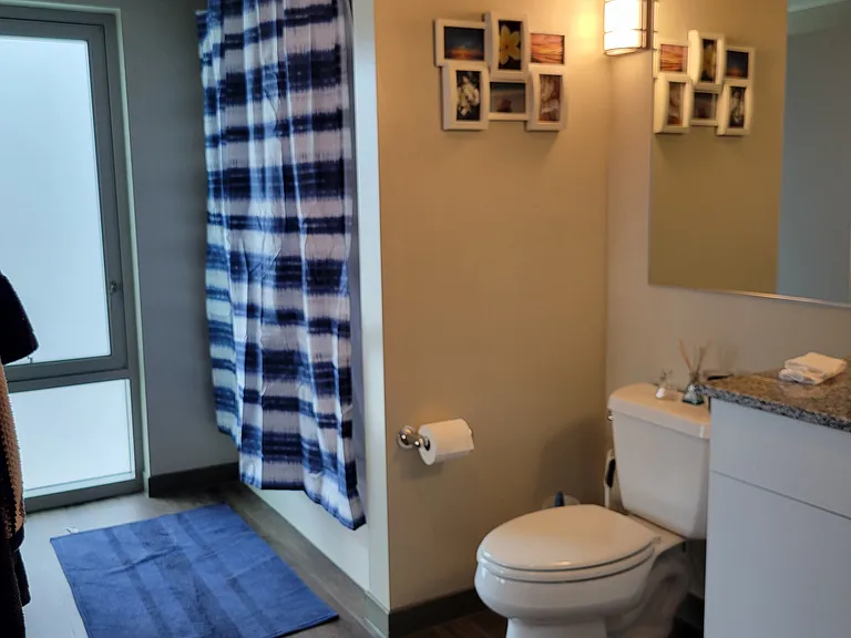 425 W Beech St #701 — Photo 17