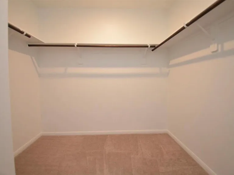 16439 Big Hickory Dr — Photo 16