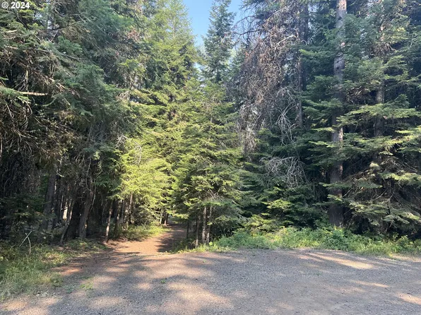 Snowshoe Ln, Weston, OR 97886