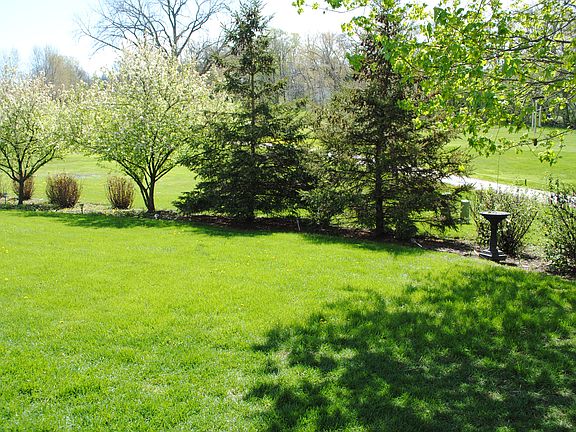 View from Deck