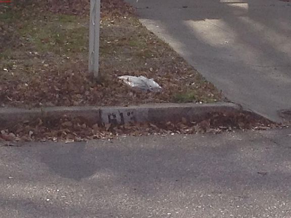2nd image of 613 W Marshall Blvd