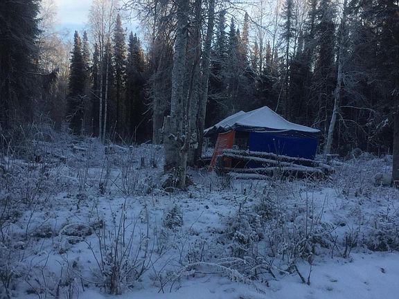 3rd image of 49441 S Cutthroat Dr