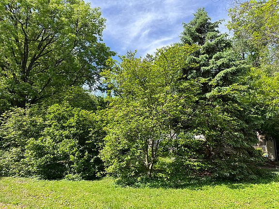 View towards the house from the street.
