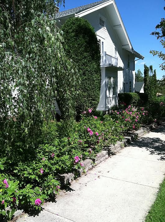East side front; wild roses