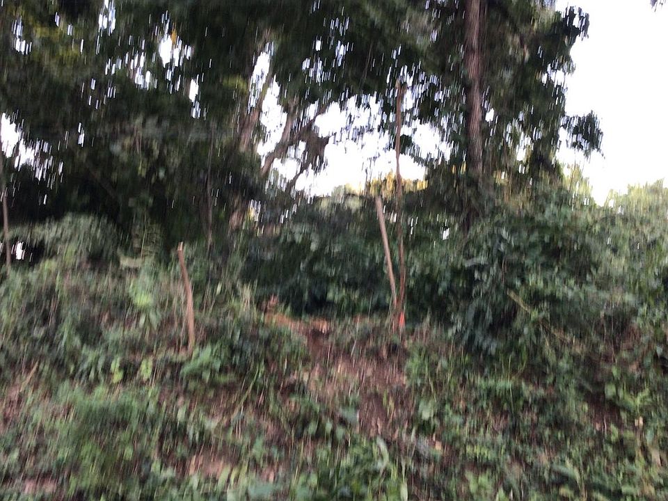 2nd image of Westover Dr SE