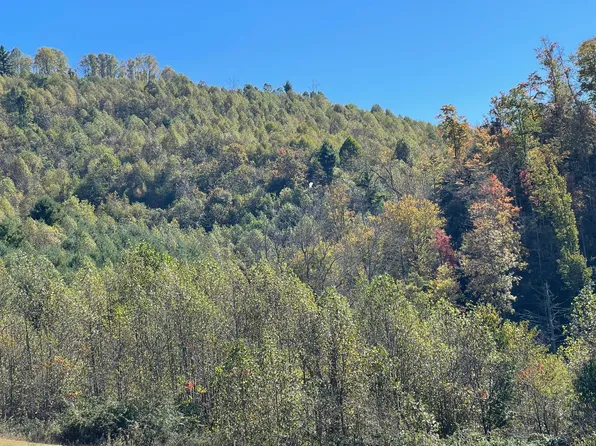 Greer Branch Rd, Laurel Bloomery, TN 37680