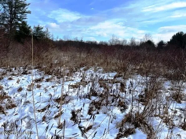 L5.1 State Highway 162, Esperance, NY 12066