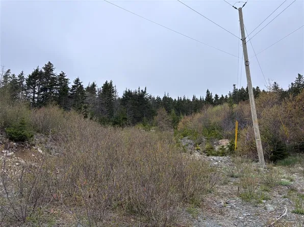 0 Whalefinn Drive, Spaniards Bay, NL A0A3X0