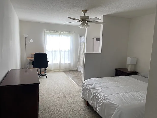 Zoffinger Pl, Palm Coast — Photo 2