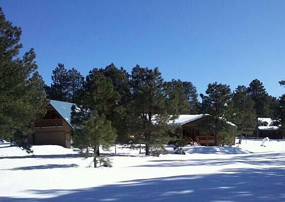 Amazing, peaceful or playful snow!