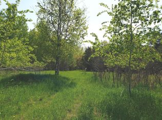 Little Canada Road 80 Acres, Cheboygan, MI 49721