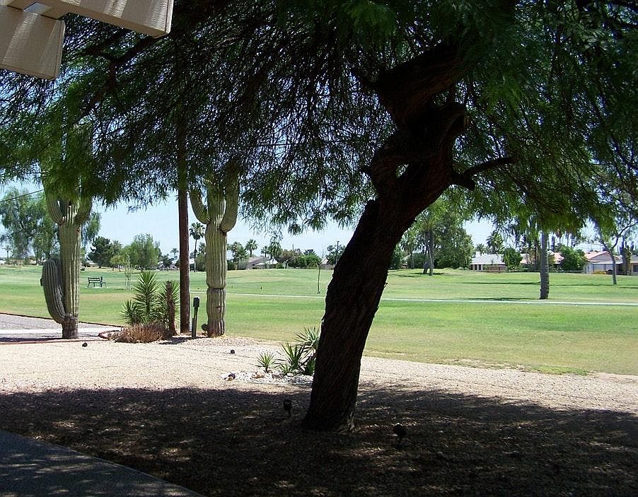 Golf Couse View