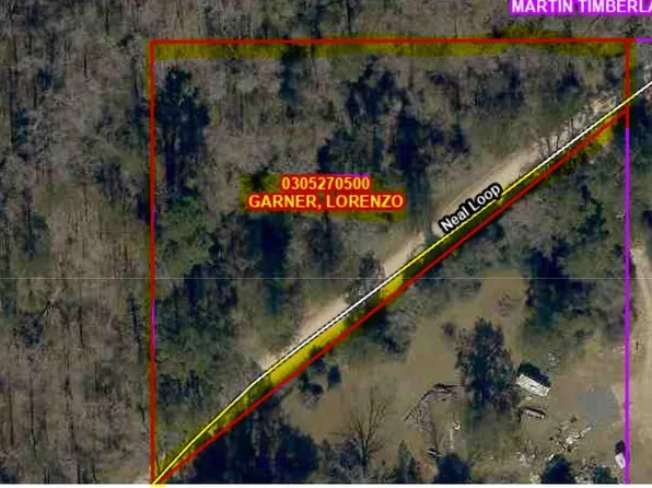 Neal Loop, Evans, LA 70639