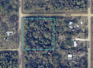 10200 Oliver Ave, Hastings, FL 32145