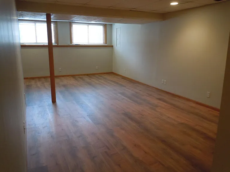 Family Room in Lower Level (Viewing South)