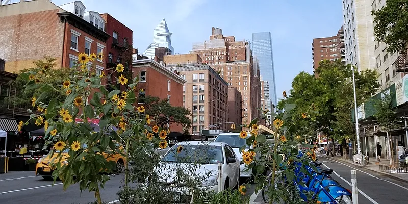 Rented by Domus Realty | media 34